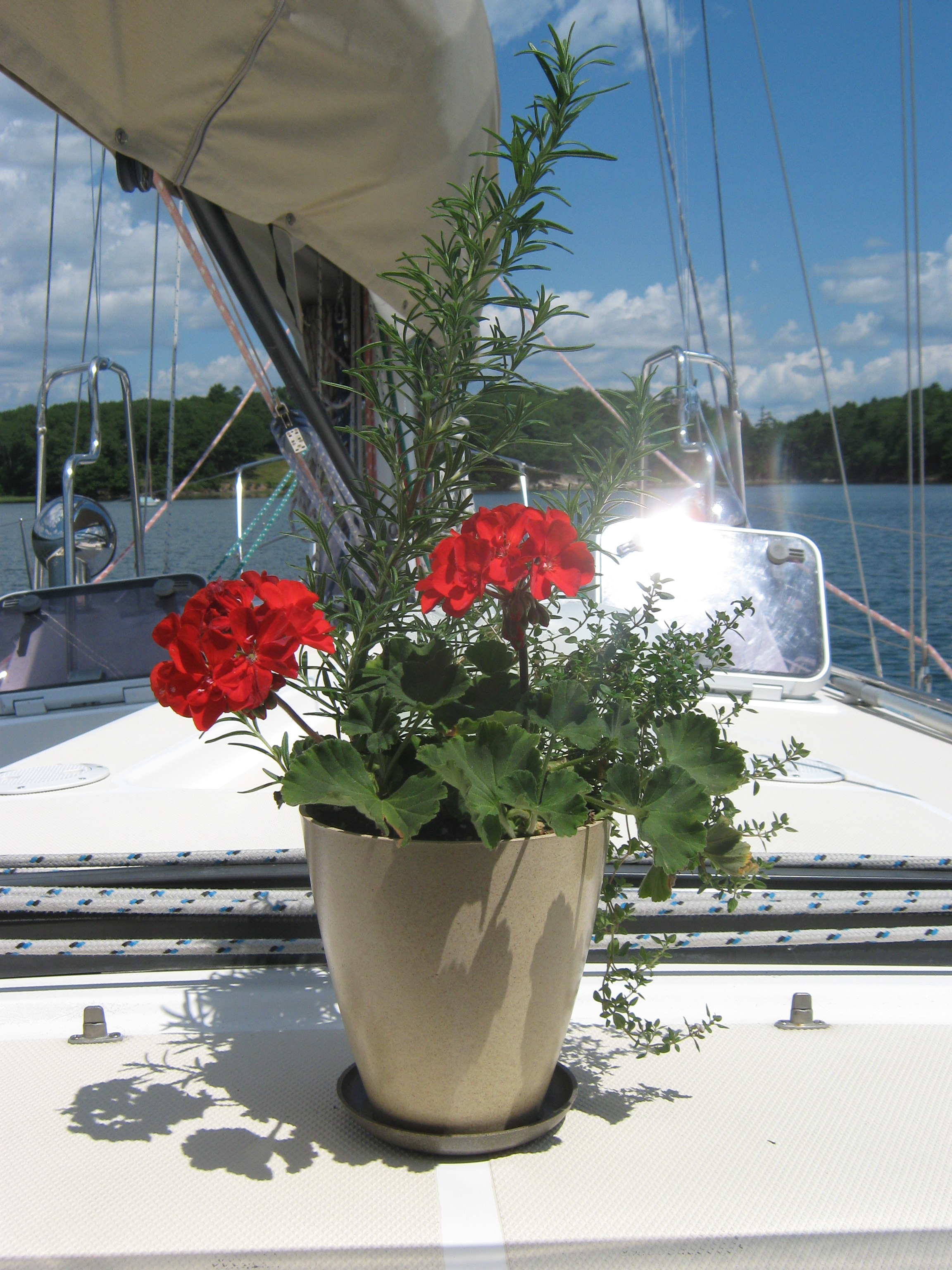 Pandora 2011 botanical gardens 004