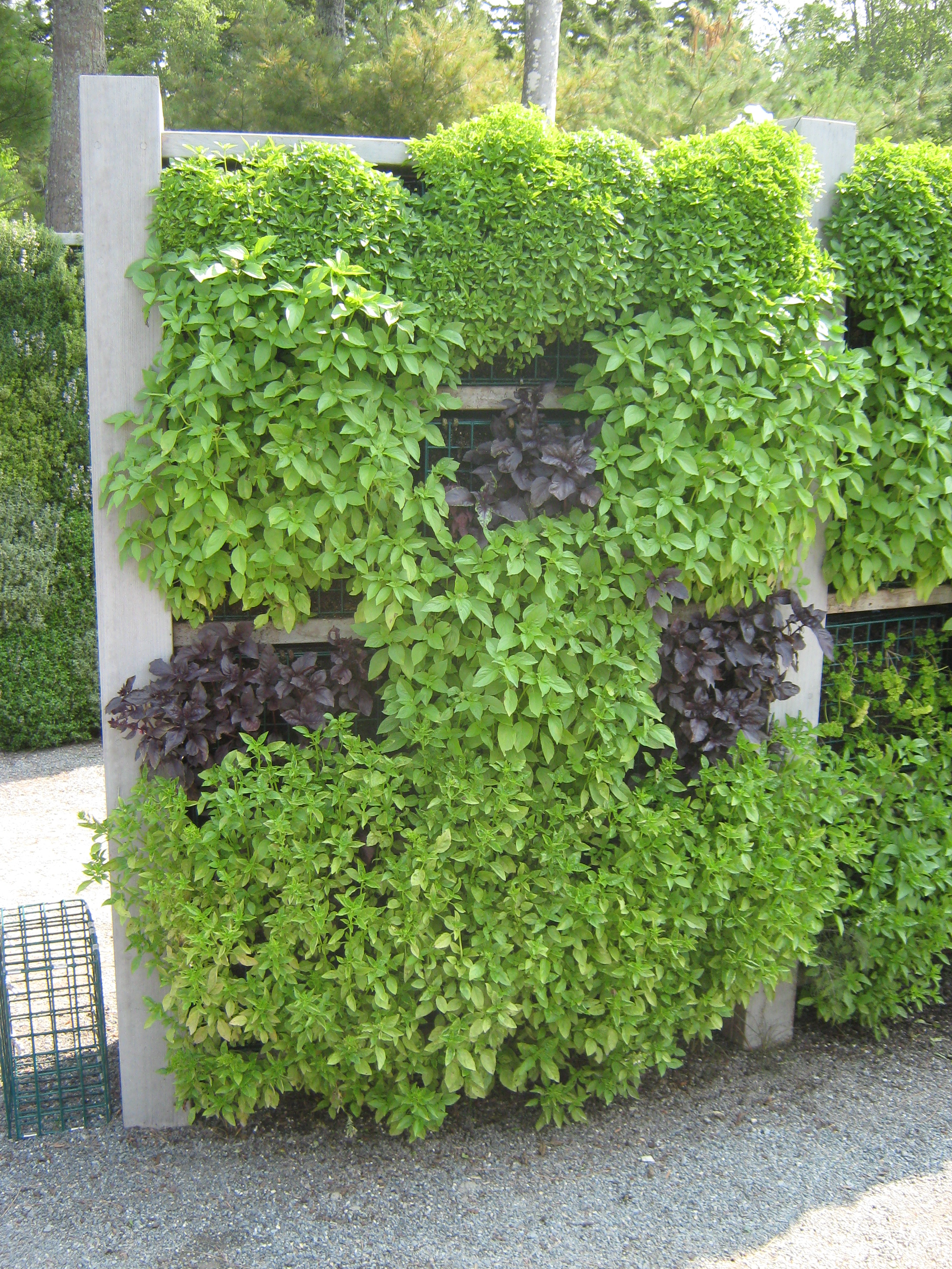 Pandora 2011 botanical gardens 006