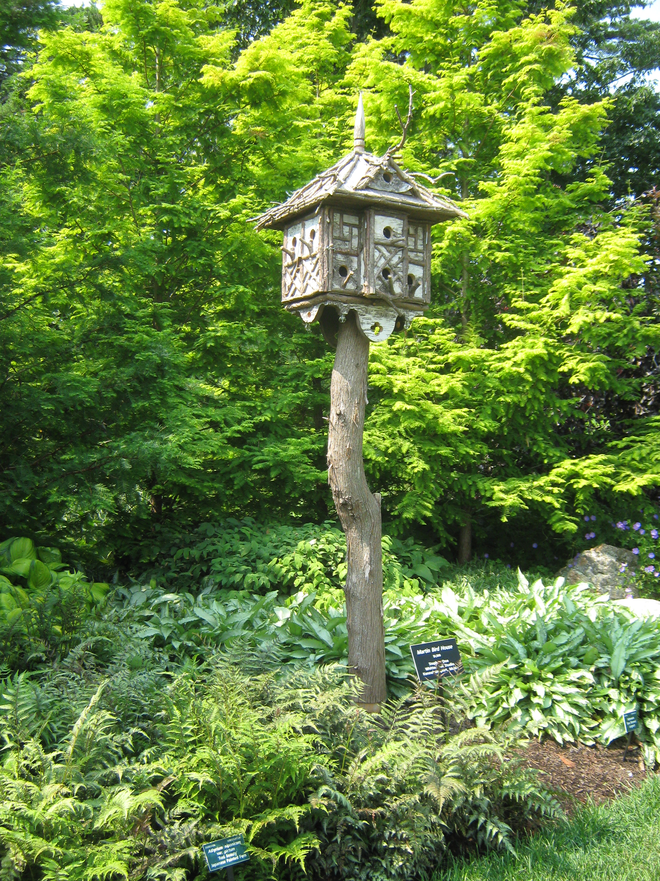 Pandora 2011 botanical gardens 016