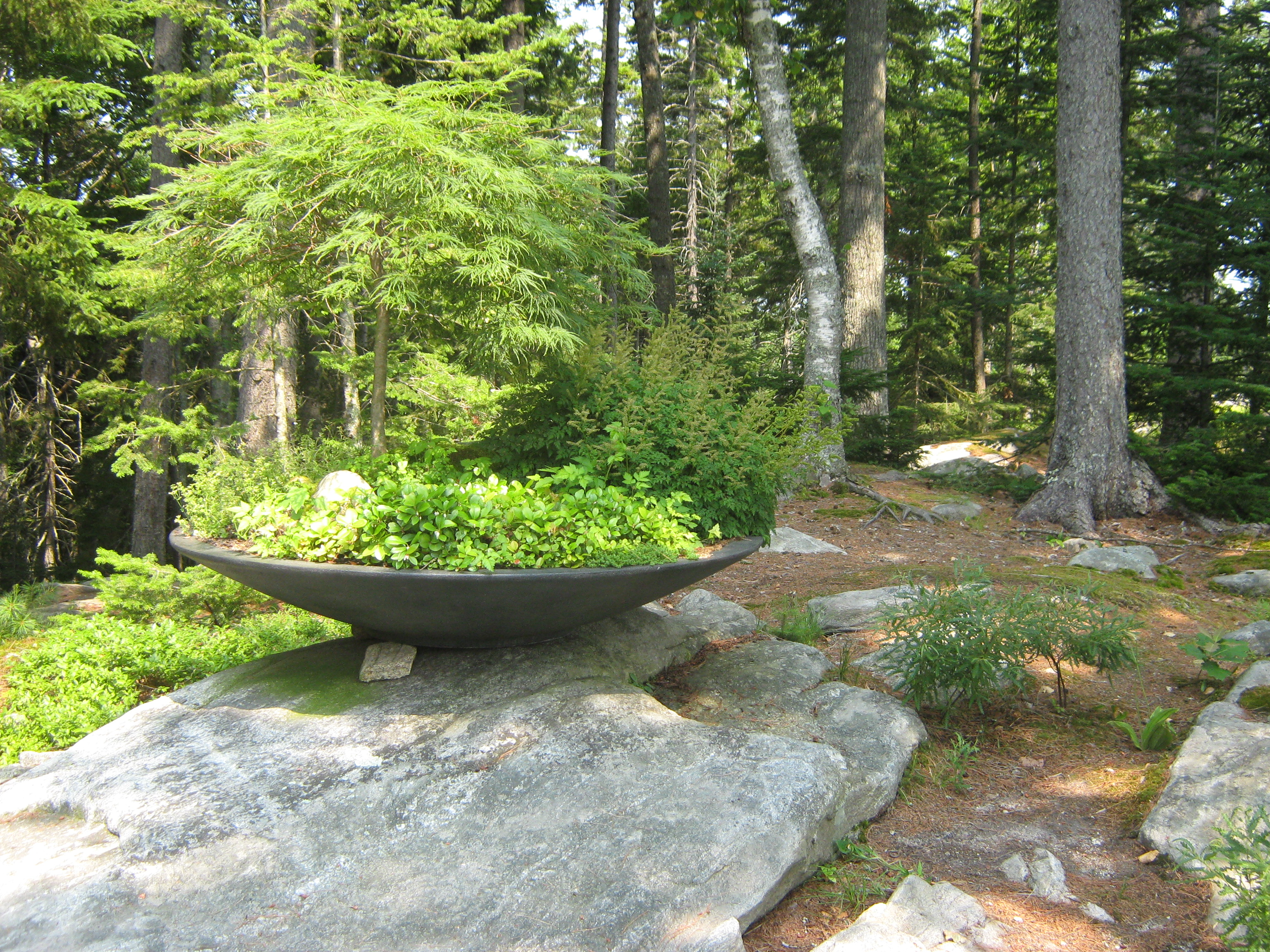 Pandora 2011 botanical gardens 019