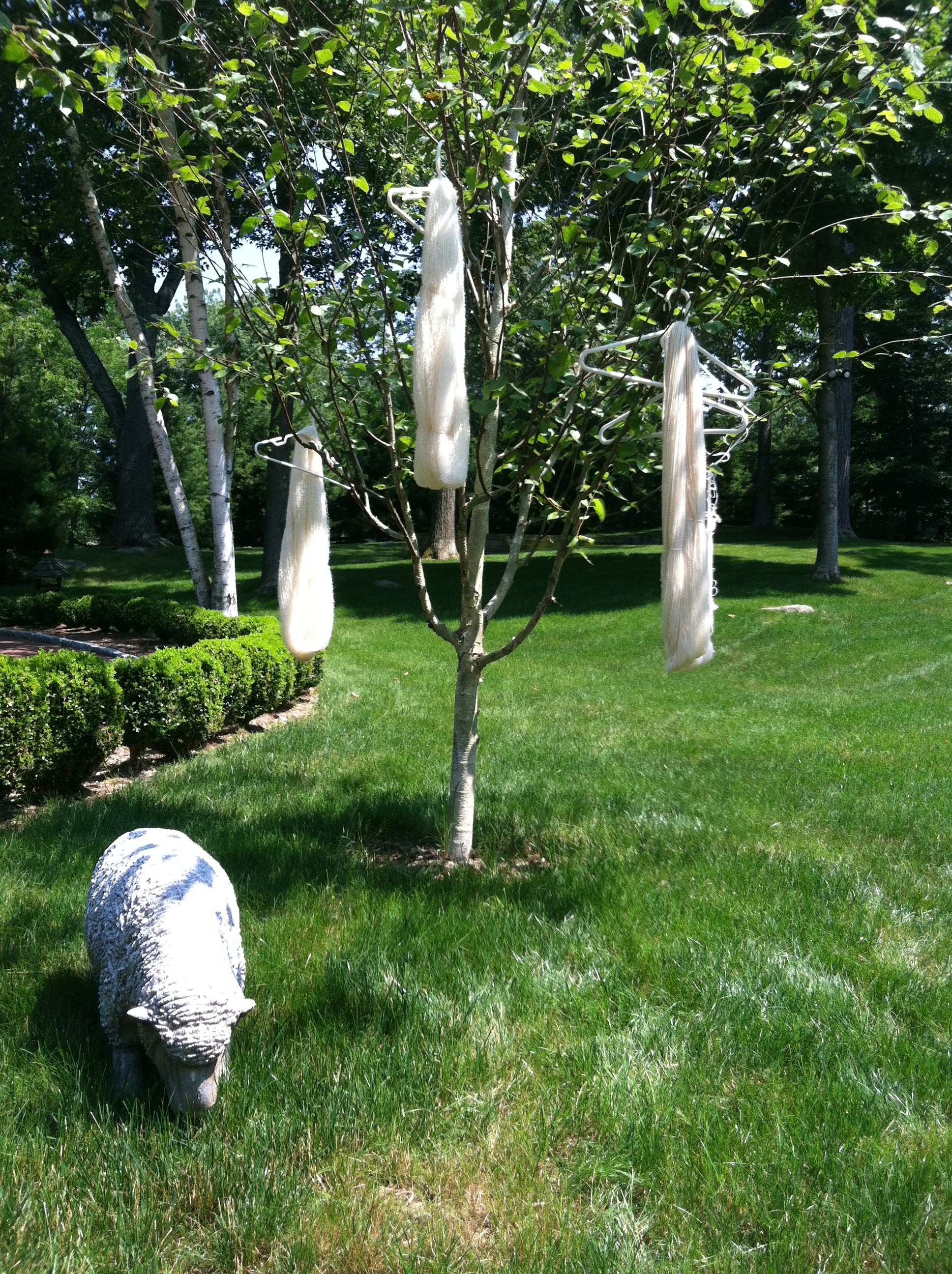 Photo Jun 21, 2 37 08 PM