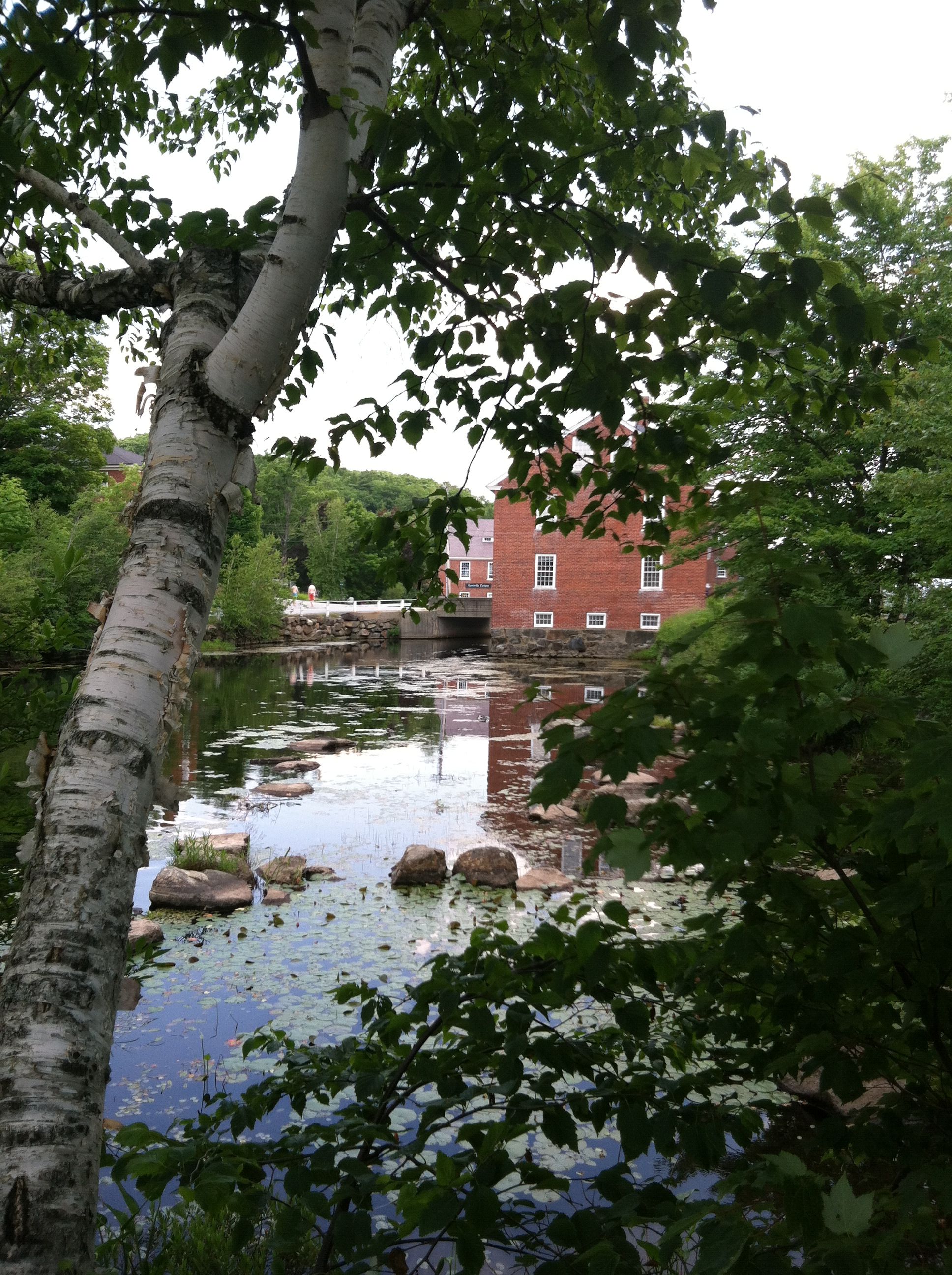 Photo Jun 22, 3 03 45 PM