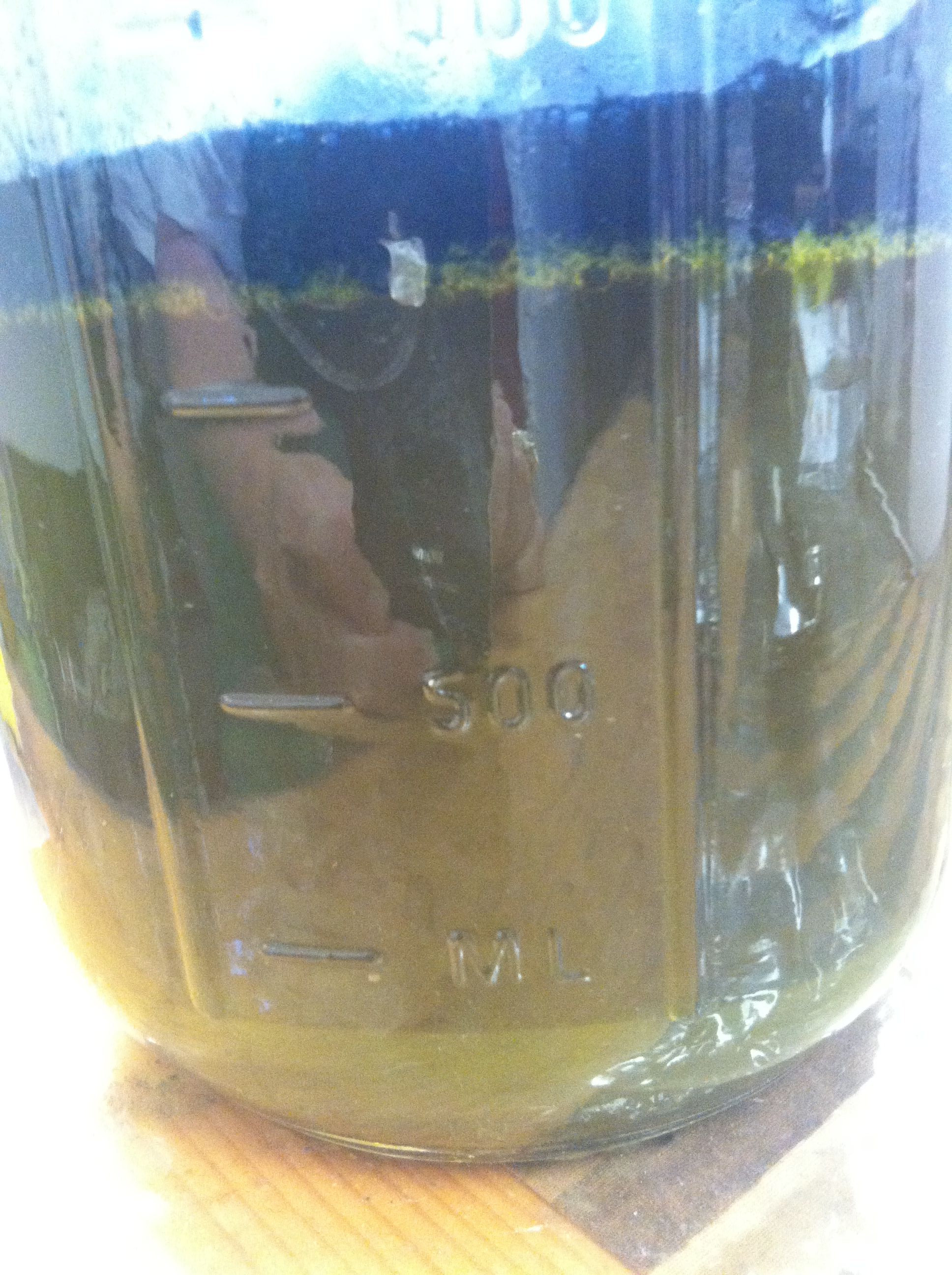 Photo Jun 23, 11 44 58 AM