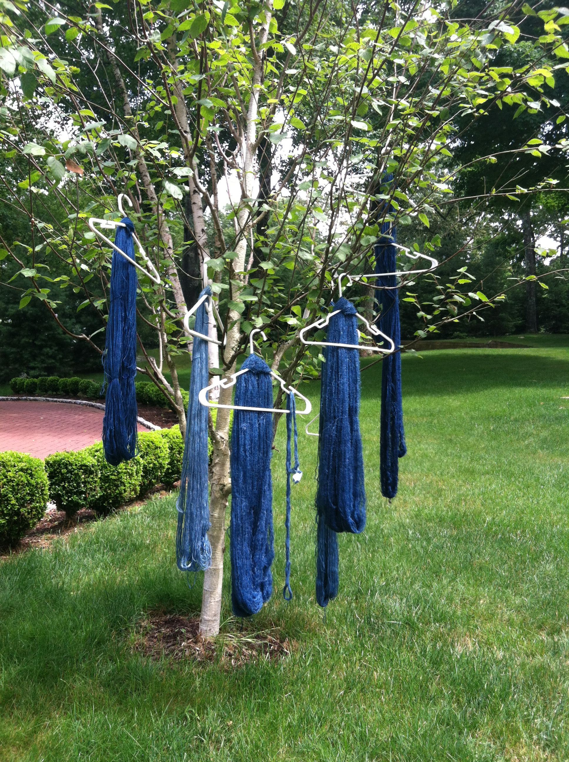 Photo Jun 25, 2 46 52 PM