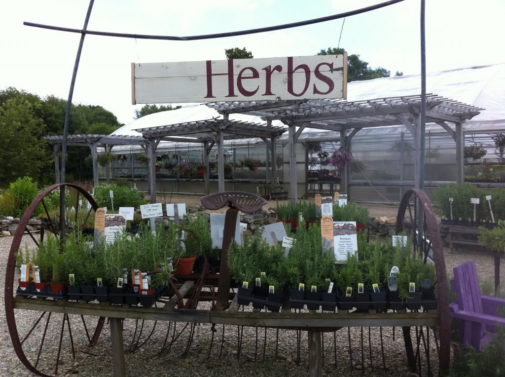 Salem Herb Farm 2