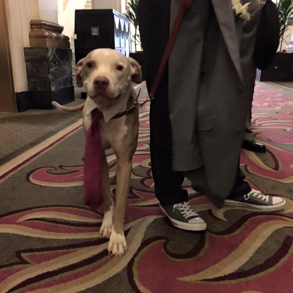 rob and Kandice wedding Bosun procession