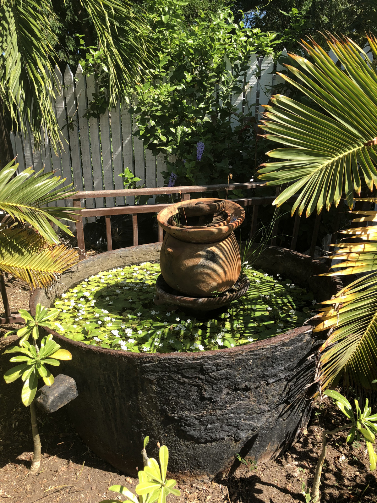 5-2017-11-17 13.02.47